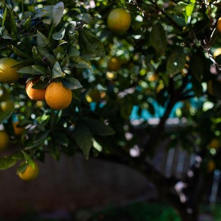 Florit Flats - The Orange Lemon Tree House Villa La Eliana Kültér fotó