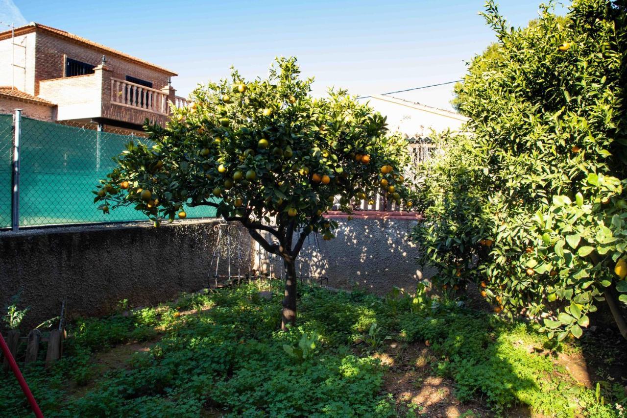 Florit Flats - The Orange Lemon Tree House Villa La Eliana Kültér fotó